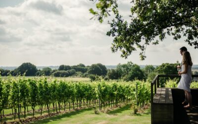 A LUNCH & DINNER WITH GUSBOURNE