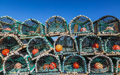 FORGOTTEN FISH – EAST COAST OF SCOTLAND