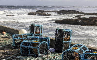 FORGOTTEN FISH – WEST COAST OF SCOTLAND